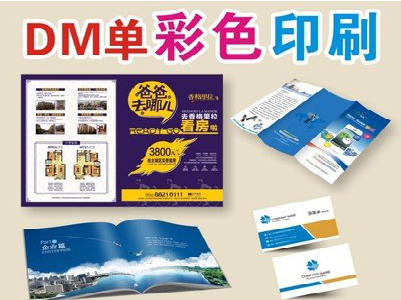 罗源单页印刷，色彩搭配简单。